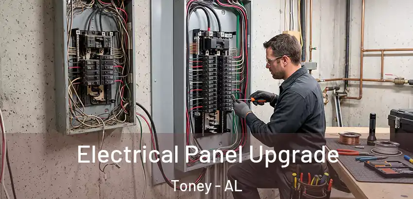  Electrical Panel Upgrade Toney - AL